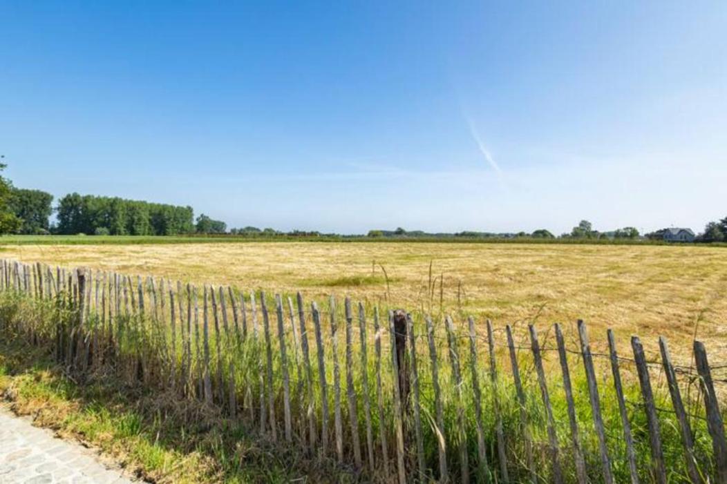 Burgemeestershof Wetteren المظهر الخارجي الصورة
